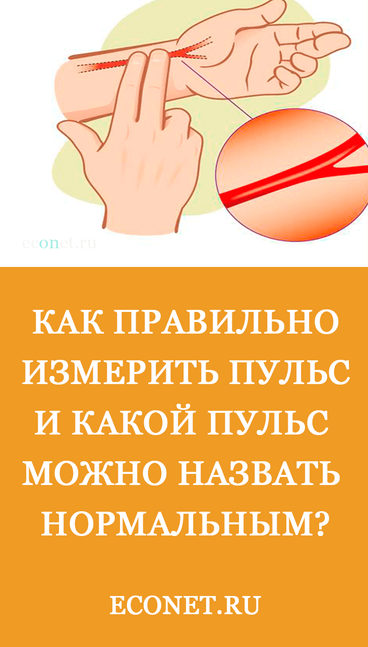 Как правильно измерить пульс и какой пульс можно назвать нормальным? 