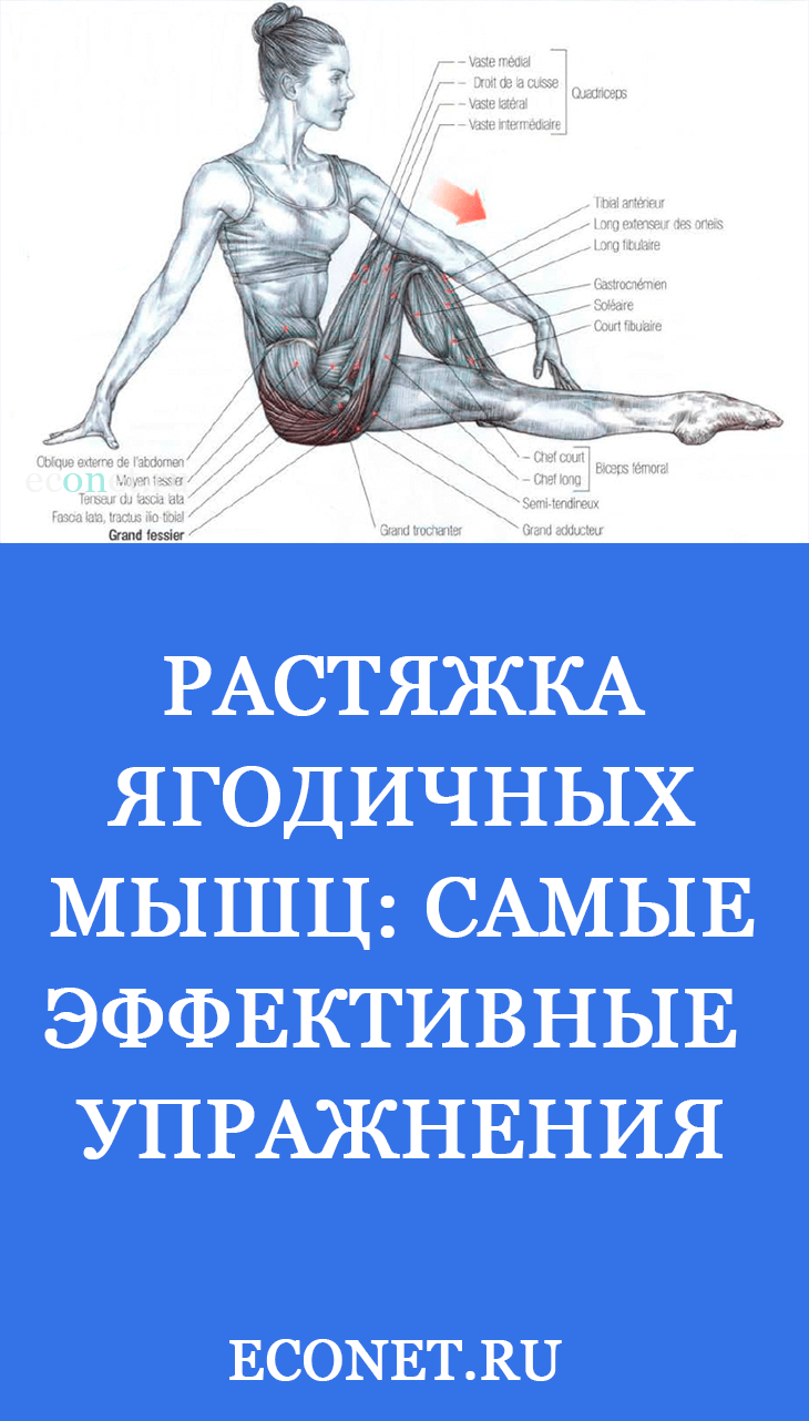 Растяжка ягодичных мышц: Самые эффективные упражнения