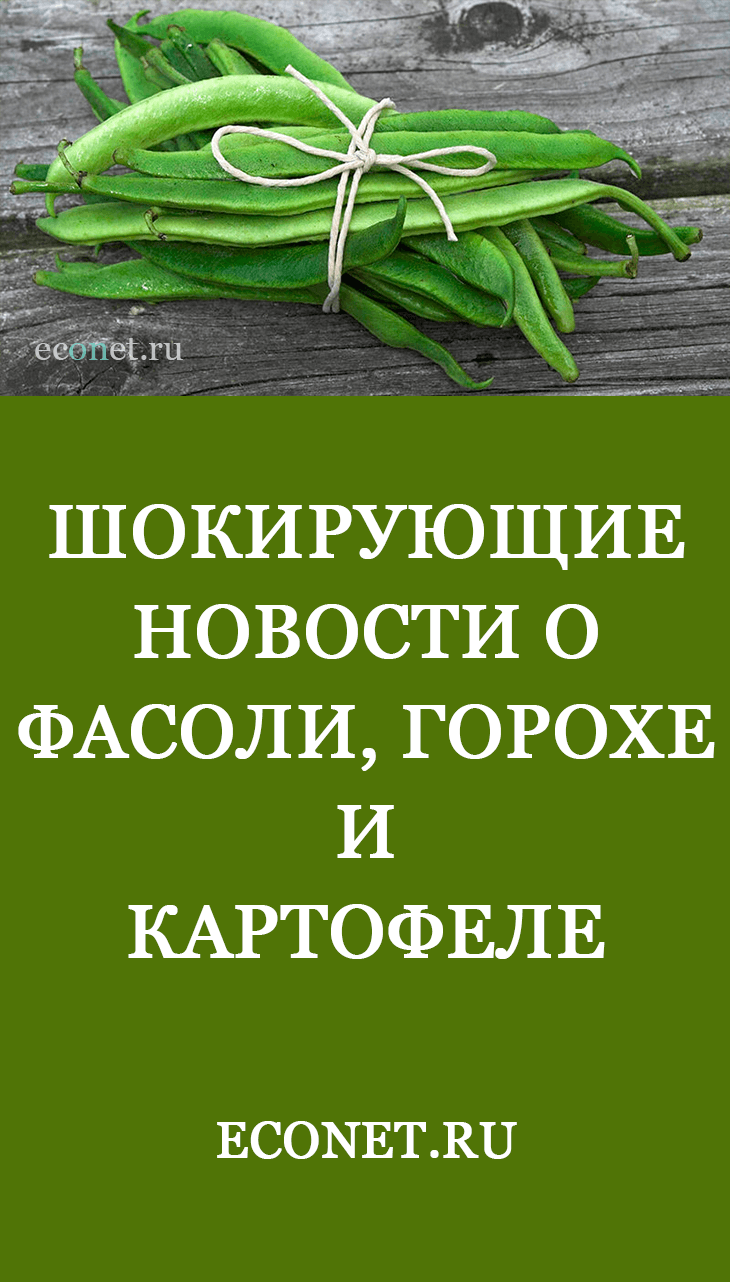 Шокирующие новости о фасоли, горохе и картофеле