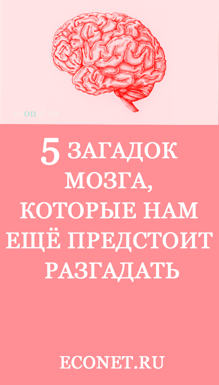 5 загадок мозга, которые нам ещё предстоит разгадать