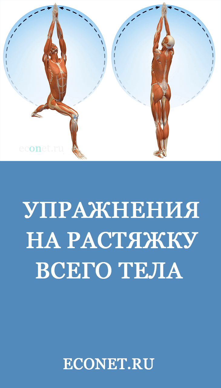 Упражнения на растяжку всего тела