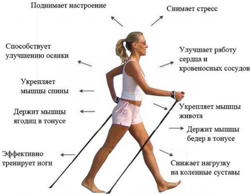  Скандинавская ходьба: Веские причины для ходьбы с палками