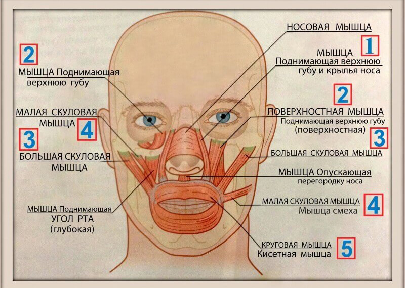 Кисетные морщины: Как не превратить губы в завязанный мешочек