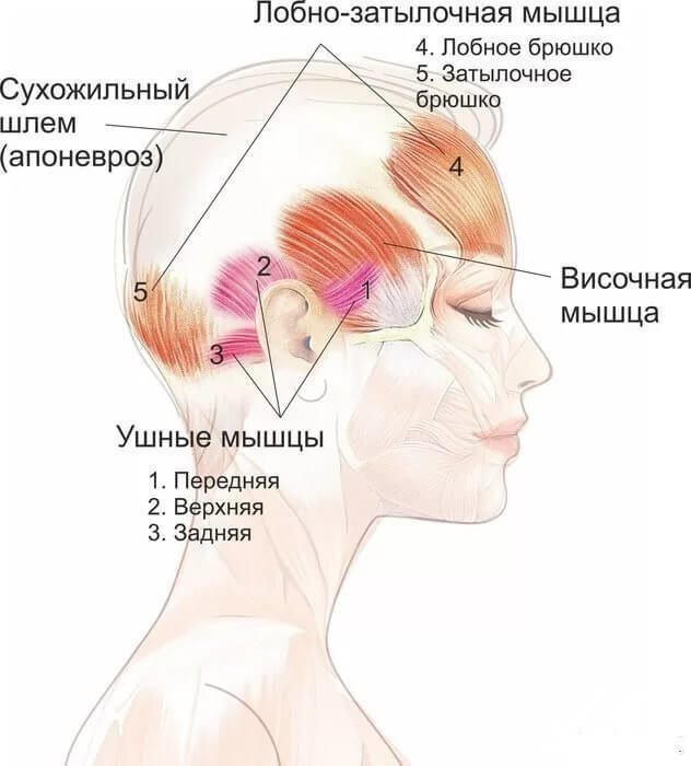 Кисетные морщины: Как не превратить губы в завязанный мешочек