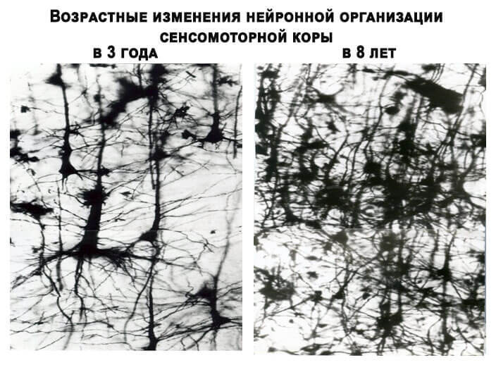 Как научить ребенка читать без слез