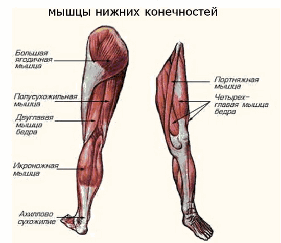 7 упражнений для похудения: убираем жир с коленей!