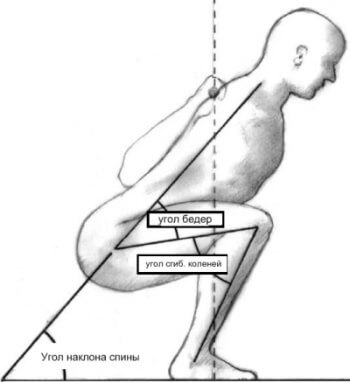 Анатомия Приседаний