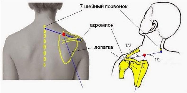 Доктор Огулов: Признаки проблем с желчныйм пузырем