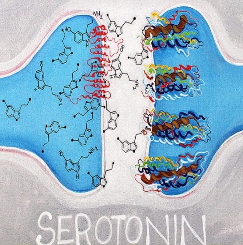 Лучшие способы повысить уровень серотонина