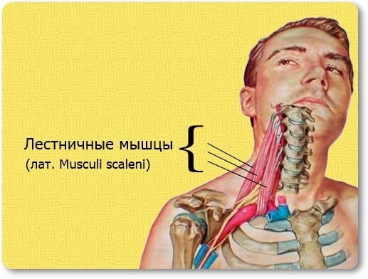 Как навсегда забыть о гипертонии: упражнения доктора Шишонина