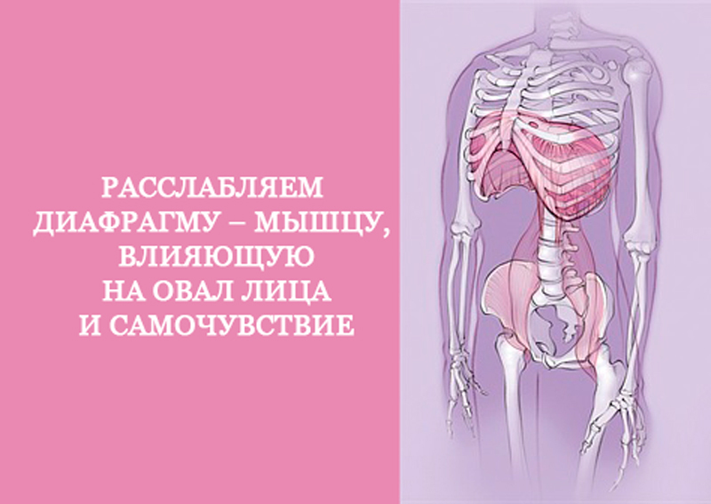 Расслабляем диафрагму – мышцу, влияющую на овал лица и самочувствие