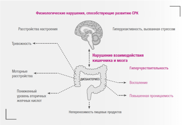 Синдром раздраженного кишечника и витамин D: лечение, о котором мало кто знает!