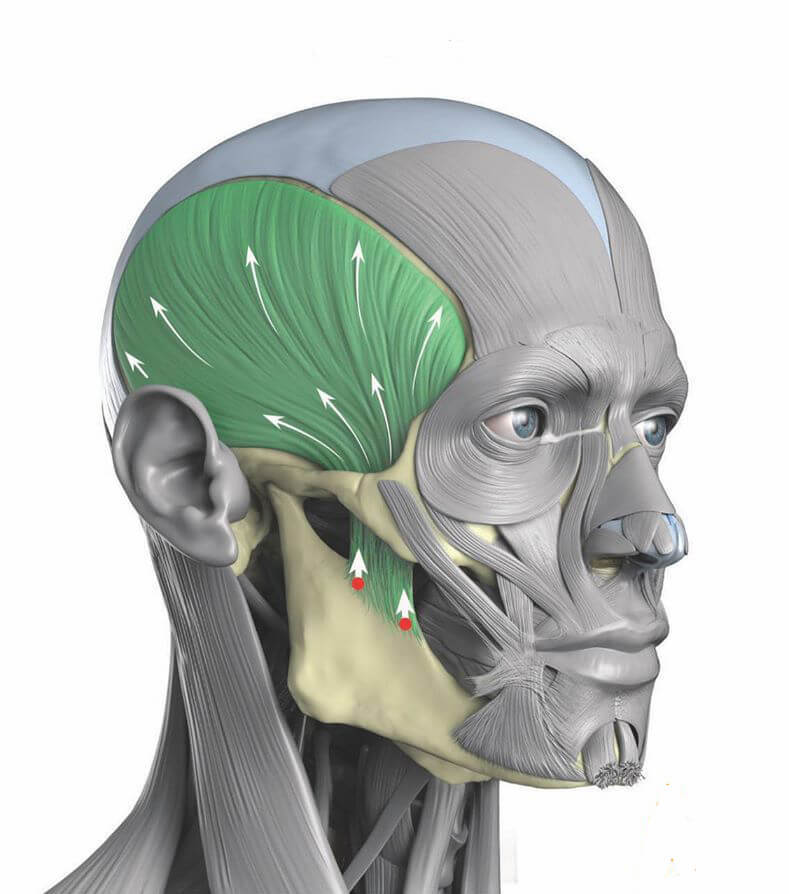 Снимаем отек с верхних век – растягиваем височную мышцу