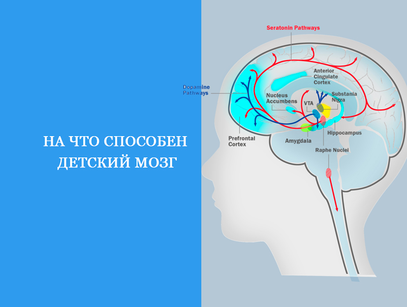 На что способен детский мозг