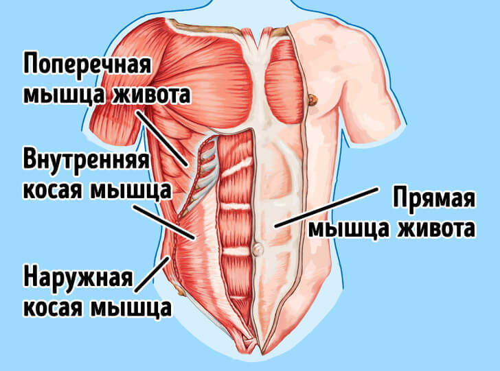 5 упражнений, из-за которых вы кажетесь полнее