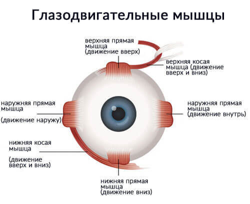 Косоглазие – приговор или легкий дефект?