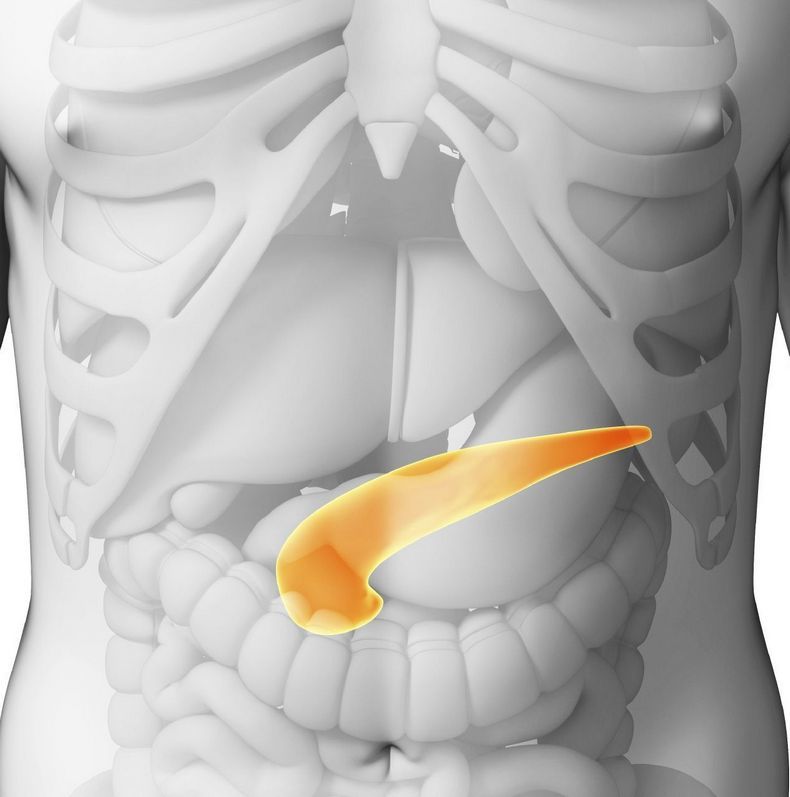 Лекарства, которые губят поджелудочную железу