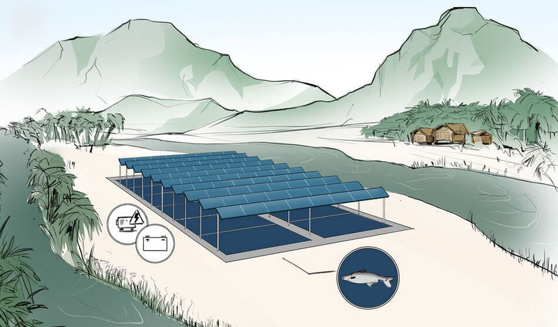 Аквафотовольтаика: солнечные электростанции совместят с фермами по разведению рыбы и креветок