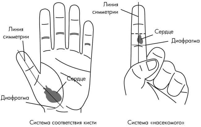 Точки, которые спасут от сердечной боли