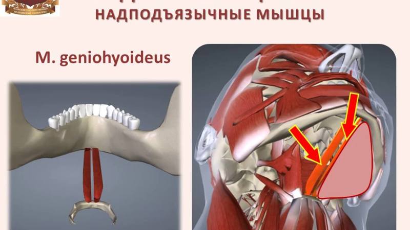 СУПЕР комплекс упражнений для ШЕИ