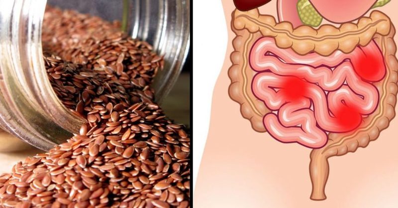 Сибирский способ очищения кишечника семенами льна