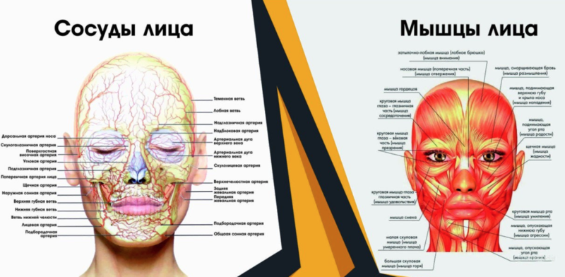 ЛУЧШАЯ маска для зрелой кожи с признаками усталости