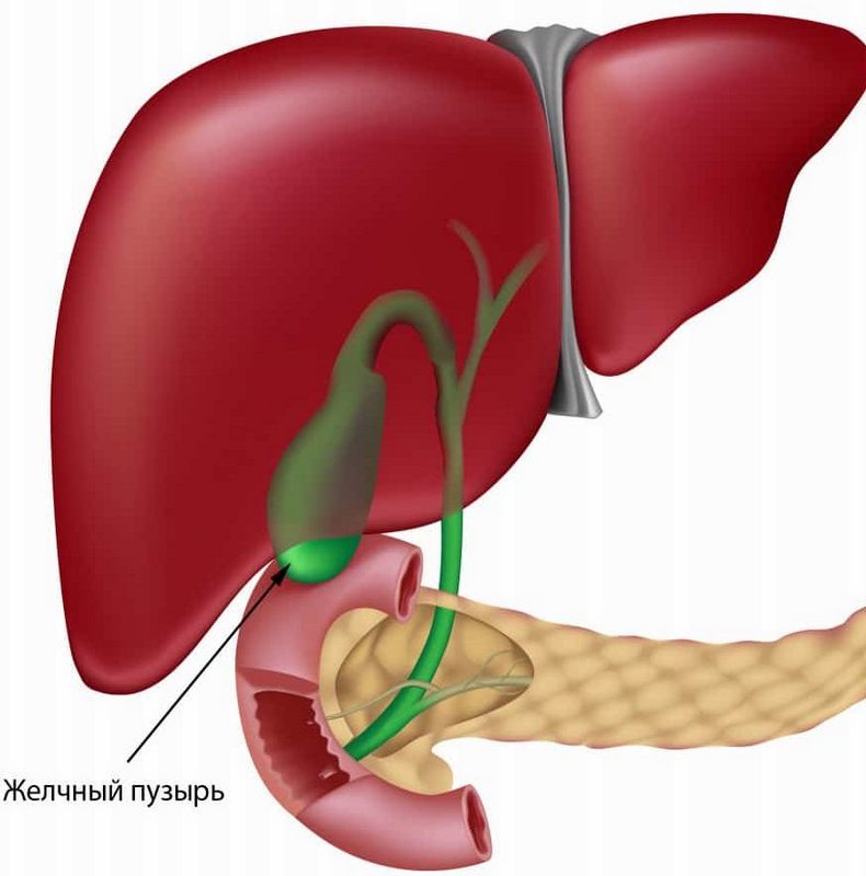 Жизнь без жёлчного пузыря: 5 правил 