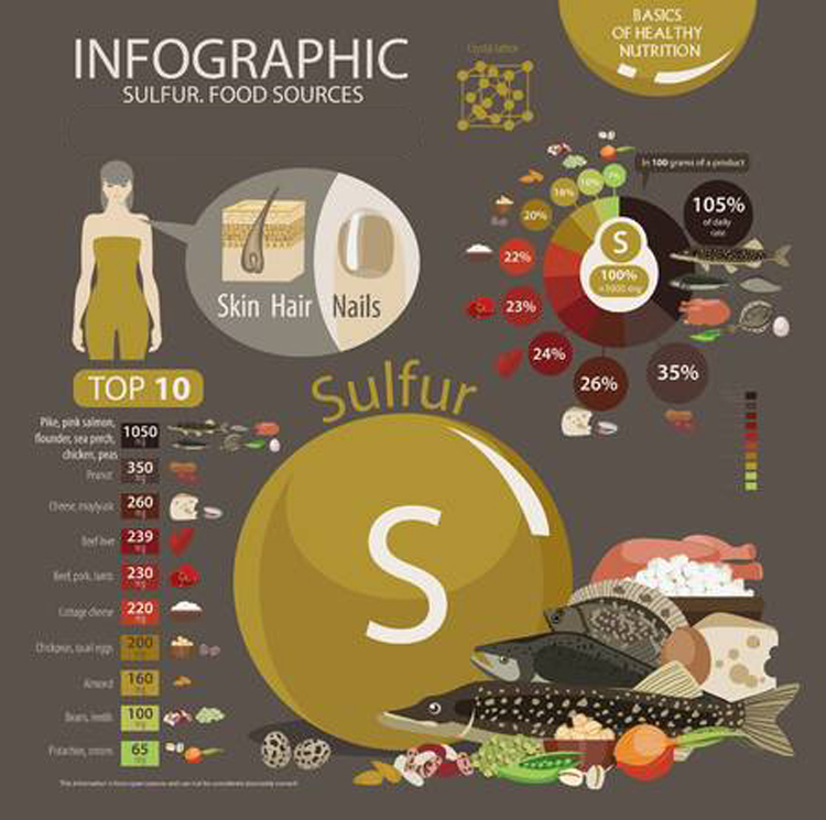 Признаки нехватки серы в организме