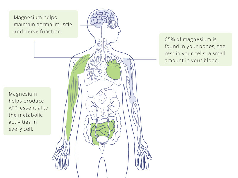 Для чего вашему организму нужен магний?