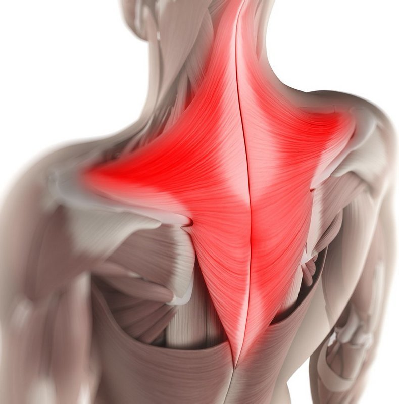 Почему болит шея: 5 причин