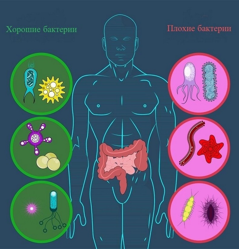 Здоровое питание: Топ-5 ошибок