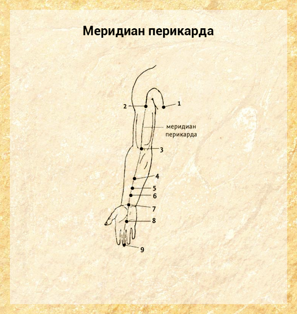 19:00–21:00 — часы «Сюй-ши» для здоровья перикарда