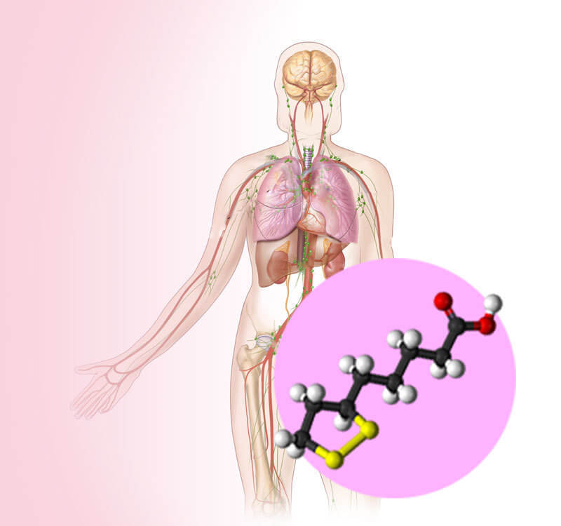 Зачем организму нужна альфа-липоевая кислота