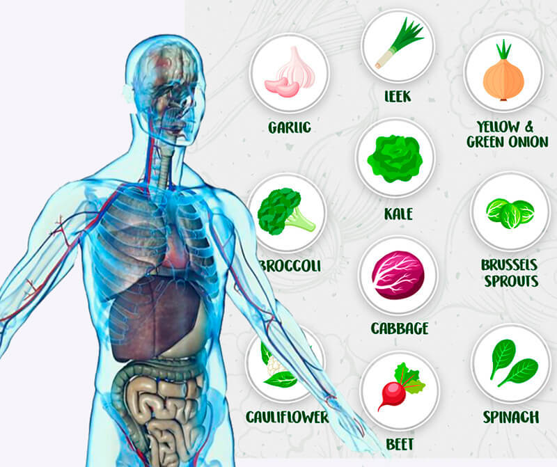 10 супер продуктов, которые помогут уморить раковые клетки 