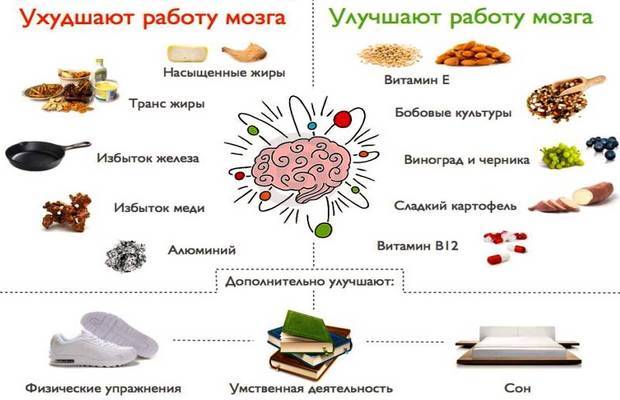 Как время суток и продукты влияют на работу мозга