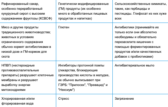 Лучшие продукты для здоровой микрофлоры кишечника