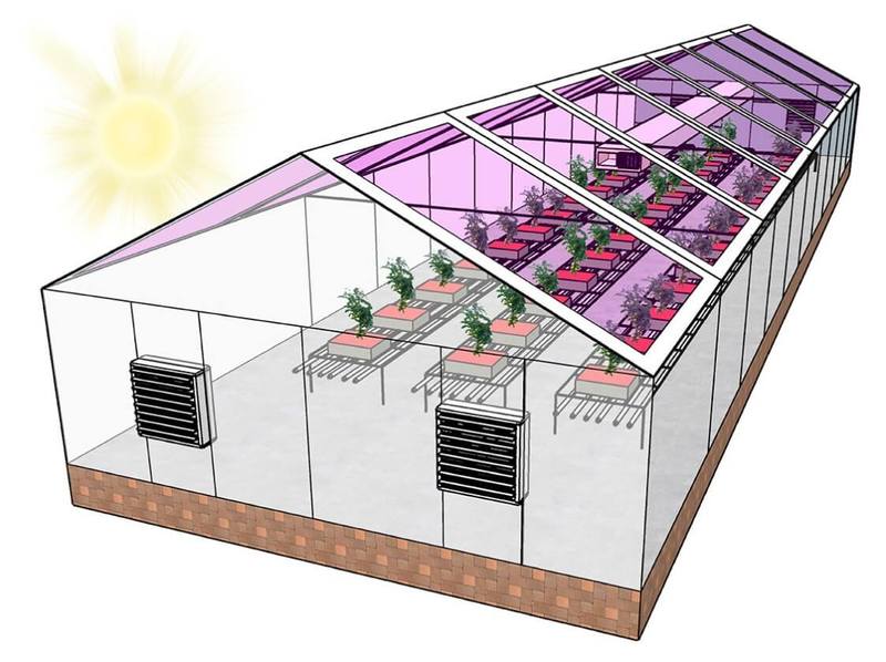 Полупрозрачные солнечные элементы могут сделать теплицы самодостаточными