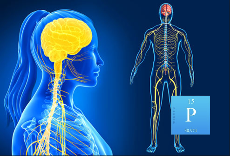 Слабость, боль в мышцах, чувство тревоги: что еще вызывает нехватка фосфора?
