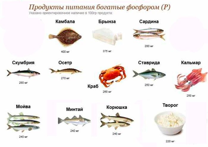 Слабость, боль в мышцах, чувство тревоги: что еще вызывает нехватка фосфора?