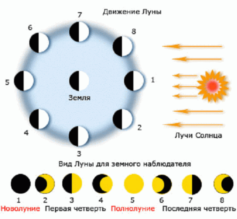 Здоровье по лунным циклам