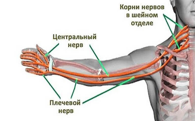 Почему немеют руки: 7 возможных заболеваний