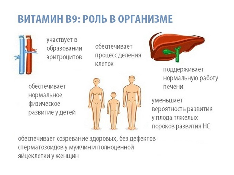 Обязательный витамин после 40 лет и во время беременности