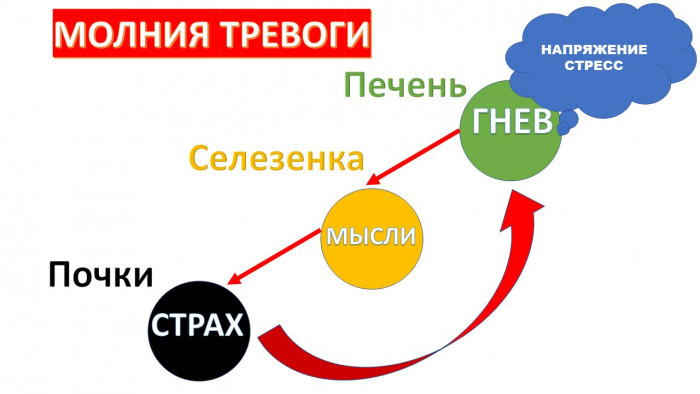 Тревога: Главная причина сидит у вас в печёнках