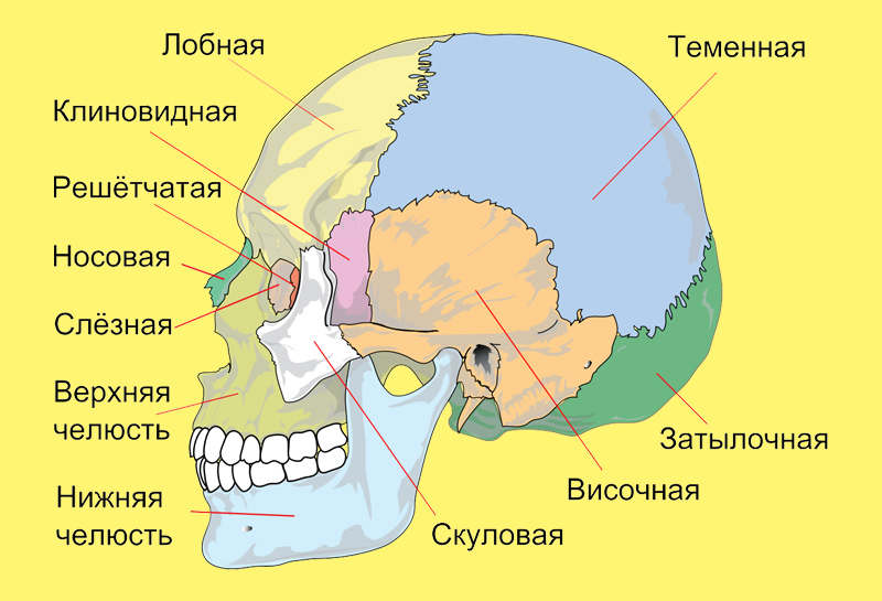 Простая техника, которая успокоит ум и оздоровит весь организм