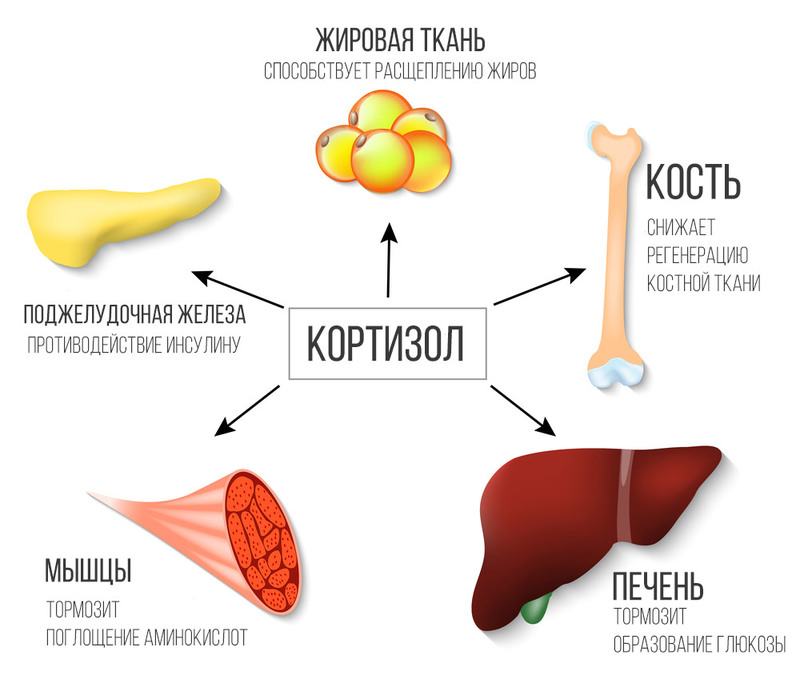 Как удержать вес женщинам после 50 лет