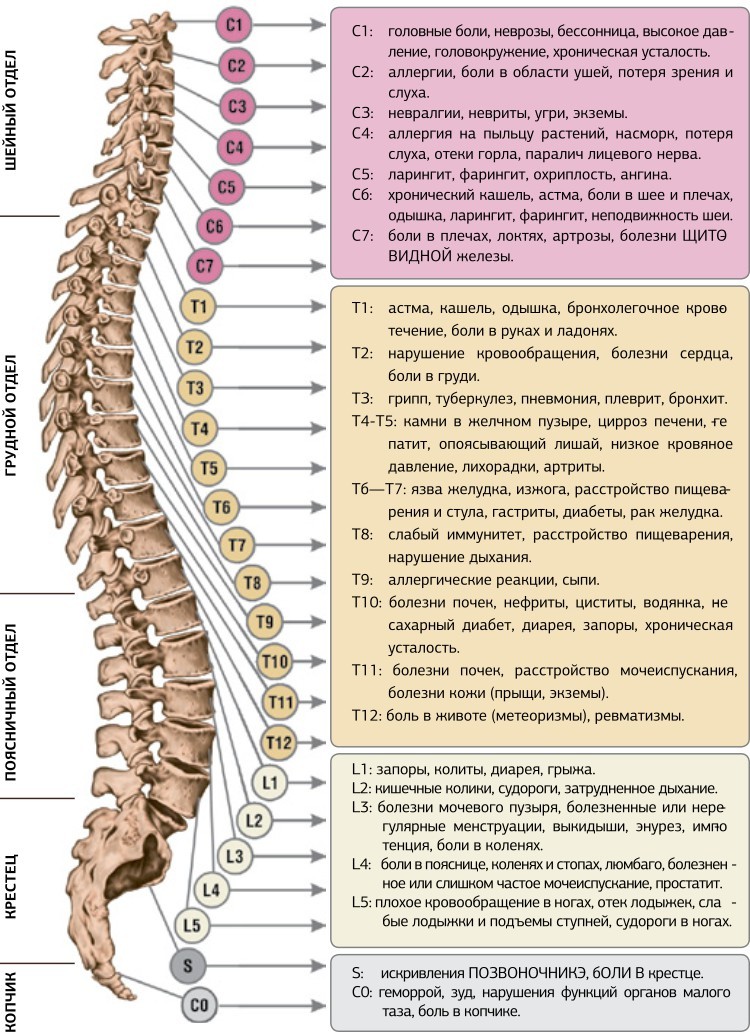 Как разблокировать позвоночник: советы врача-реабилитолога