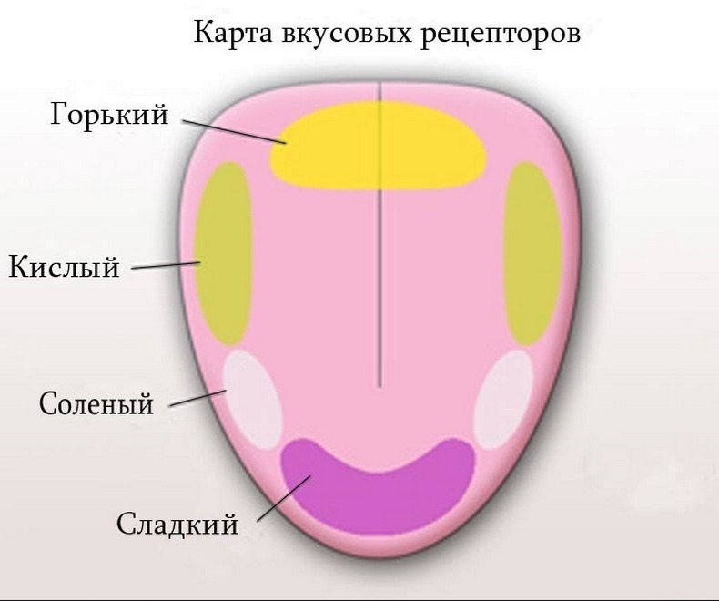 Вкусотерапия: как вкус продуктов вляет на наше здоровье?