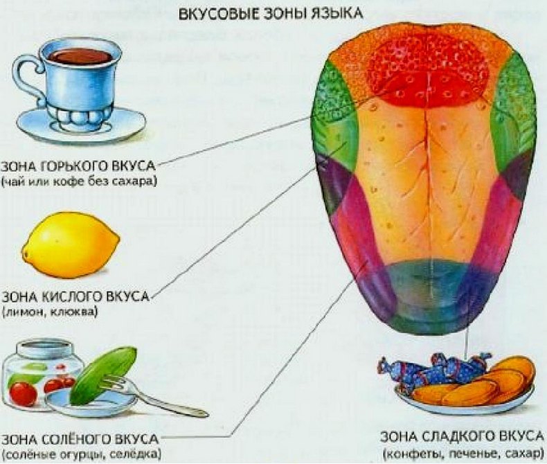 Вкусотерапия: как вкус продуктов вляет на наше здоровье?