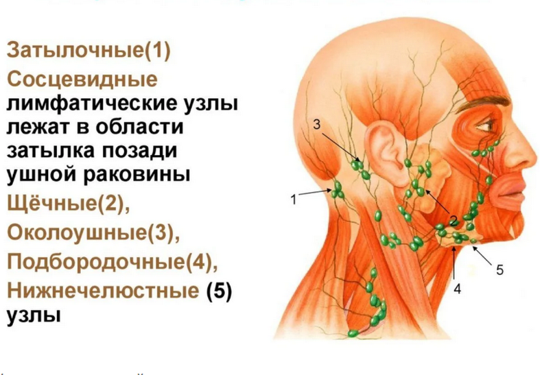 Экспресс-метод снятия отечности