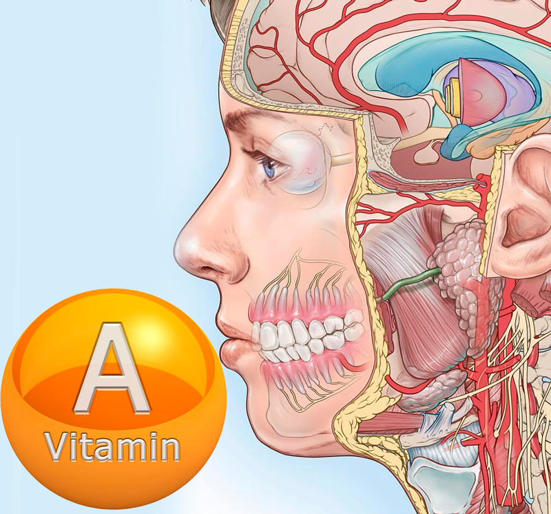 Тревожные признаки дефицита витамина А и способы его восполнить
